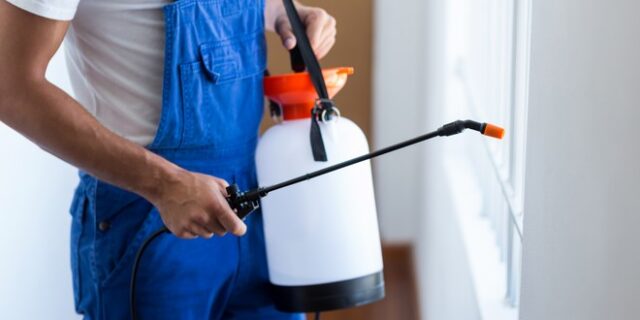 Εταιρεία απεντόμωσης στην Θεσσαλονίκη έκρυψε πάνω από 2 εκατ. ευρώ
