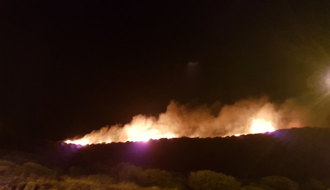 Πυρκαγιά στα Καλύβια: Κλειστή η παραλιακή στο ύψος της Σαρωνίδας