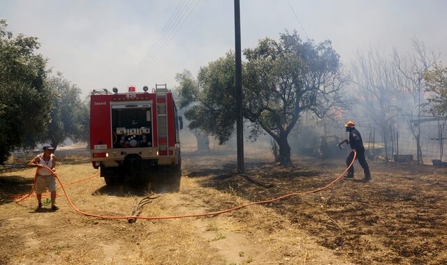 Μάχη με τις φλόγες σε Μέγαρα και Ανατολική Μάνη