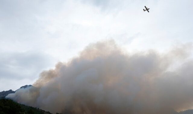Πυρκαγιά σε δασική έκταση στην περιοχή Λούτσες Κέρκυρας