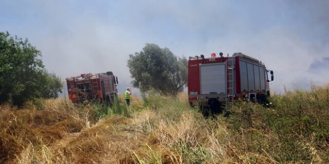 Nέα φωτιά στο Εξωχώρι Μεσσηνίας σε εξαιρετικά δύσβατο σημείο