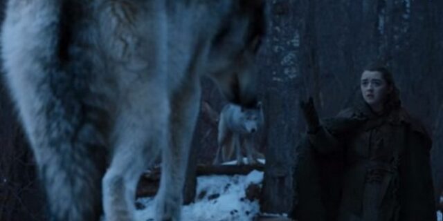 Game of Thrones: Τι κρύβει ο αποχαιρετισμός της Άρια στη Νυμέρια