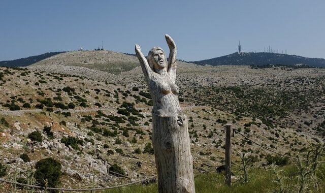 Δέκα χρόνια μετά την καταστροφή, η Πάρνηθα αναπνέει