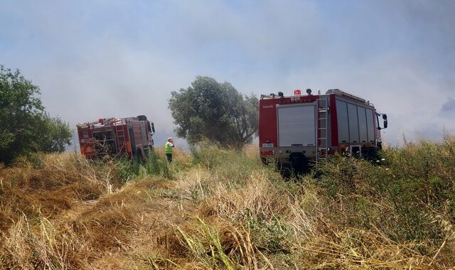 Σε εξέλιξη φωτιές στην Πελοπόννησο