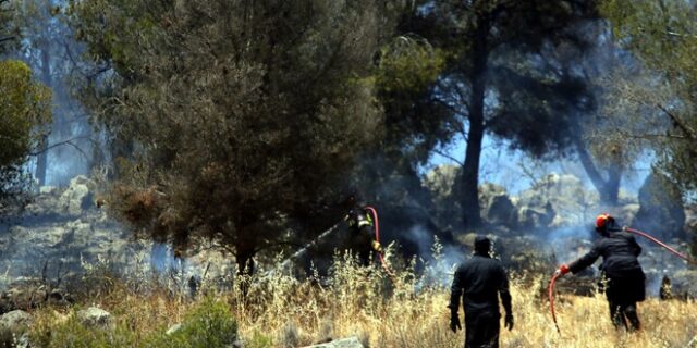 Νέα φωτιά στη Νέα Σάντα Ροδόπης. Καλύτερη η εικόνα στην Ανατ. Μάνη