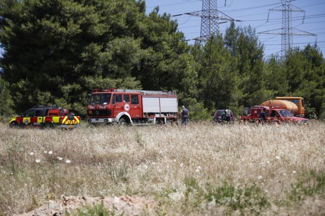 Νέα φωτιά σε δασική έκταση στην Ζάκυνθο