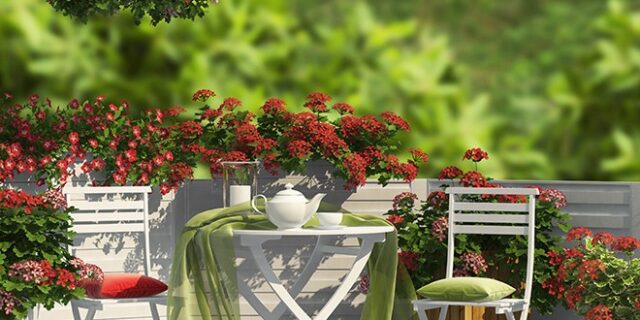 Δημιούργησε έναν κήπο στο μπαλκόνι σου