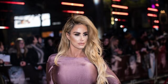 Η Katie Price δήλωσε ότι θα προσλάβει ιερόδουλη για τον ΑμεΑ γιο της
