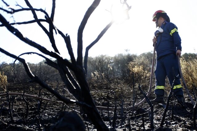 Πάνω από 60 δασικές πυρκαγιές αντιμετώπισε η Πυροσβεστική το τελευταίο 24ωρο