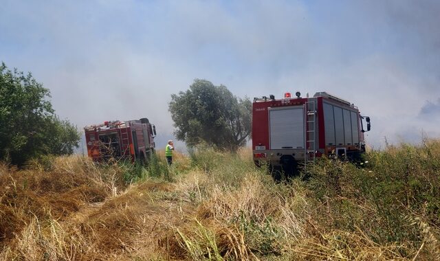 Πολύ υψηλός κίνδυνος πυρκαγιάς τη Δευτέρα
