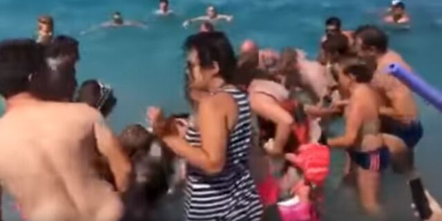 Σκόπελος: Δελφίνι βγήκε στα ρηχά και τρέλανε τους λουόμενους
