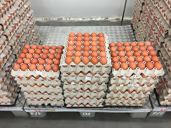 Αποσύρουν χιλιάδες αυγά από τα ράφια των σούπερ μάρκετ