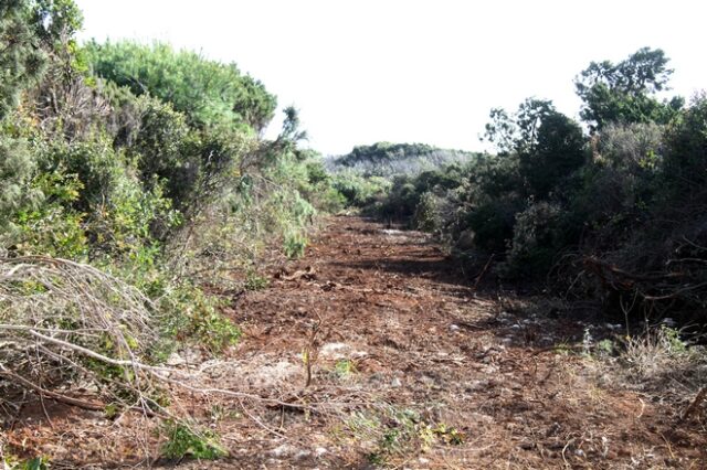 Ανοίγει ο δρόμος για την πρόσληψη Δασολόγων και Δασοπόνων στη Δασική Υπηρεσία για τους δασικούς χάρτες