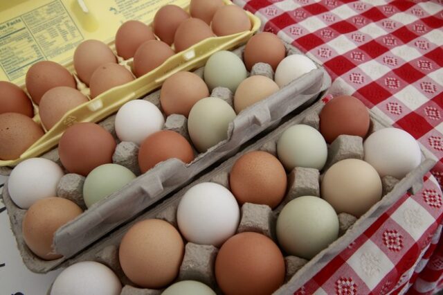 Έκτακτη σύσκεψη της Κομισιόν για τα μολυσμένα αυγά