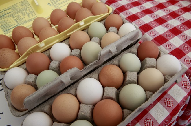 Αποσύρονται από την ευρωπαϊκή αγορά αυγά μολυσμένα με εντομοκτόνο