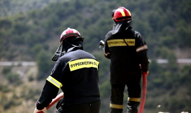 Υπό μερικό έλεγχο η φωτιά στον Πρινιά Ηρακλείου