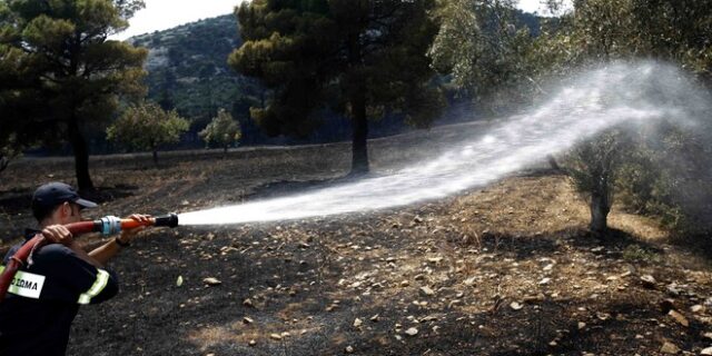 Μαίνεται η φωτιά στην Πάρνηθα. Δεν κινδυνεύουν σπίτια