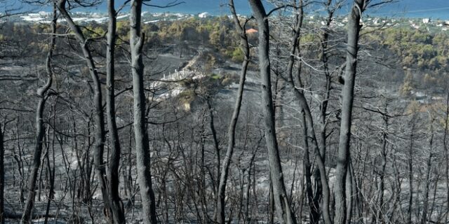 Έκπληκτη δηλώνει η ΕΝΠΕ για την ανακοίνωση της ΚΕΔΕ για την πυροπροστασία