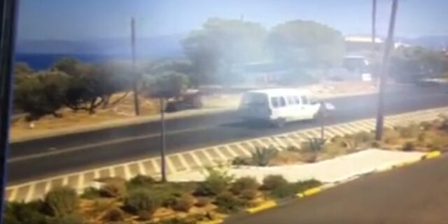 Κρήτη: Γουρούνα πέφτει πάνω σε στύλο. Το βίντεο του τρομακτικού τροχαίου