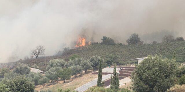 Τέσσερις ταυτόχρονες πυρκαγιές στην Ηλεία. Η ‘κραυγή αγωνίας’ του Απόστολου Κατσιφάρα