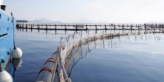 Σύλληψη 51χρονου στην Άρτα. Έκλεψε ψάρια 80 κιλών