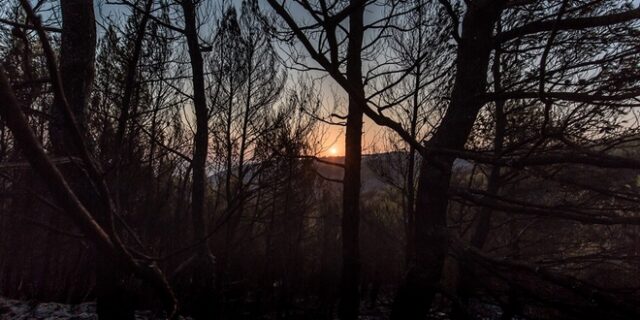 Η ΚΕΔΕ ζητά περισσότερα κονδύλια στους δήμους για πυροπροστασία