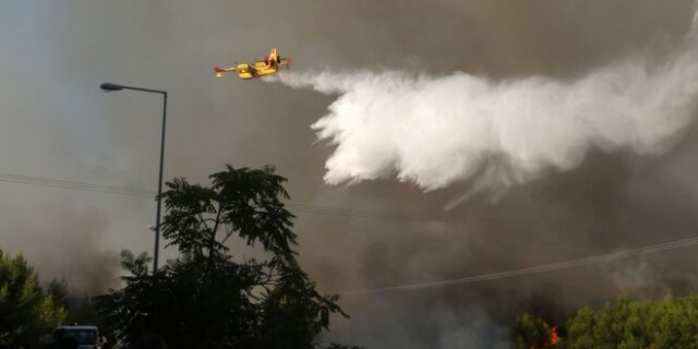 Σε δύο μέτωπα καίει η φωτιά στην Ανάληψη Αμαλιάδας