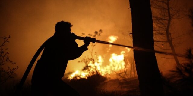 Τα πρώτα μέτρα προστασίας στις καμένες περιοχές της Ανατολικής Αττικής