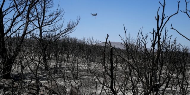 Πόλεμος Τόσκα- ΝΔ για την πυρκαγιά στα Κύθηρα