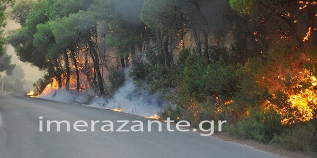 Πύρινη κόλαση στη Ζάκυνθο. Κάηκε σπίτι έξω από το χωριό Μαριές
