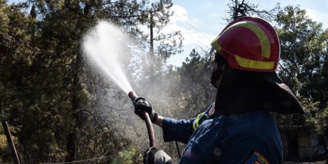 Συνελήφθη 43χρονος για εμπρησμό στην Ιεράπετρα. ‘Κάπνιζε’ μέλισσες