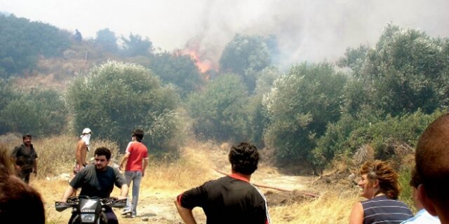 Φωτιά στην περιοχή της Κνωσού
