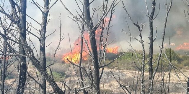 Πύρινη κόλαση στις Σπέτσες: Οι φλόγες ανάμεσα σε σπίτια και εξοχικά