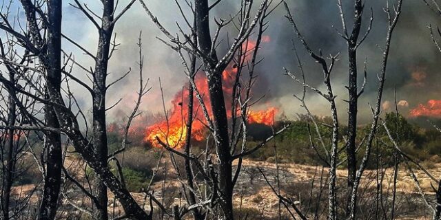 Οριοθετημένες και υπό μερικό έλεγχο όλες οι φωτιές. Υψηλός ο κίνδυνος πυρκαγιάς και σήμερα