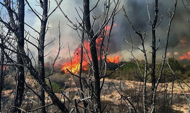 Οριοθετημένες και υπό μερικό έλεγχο όλες οι φωτιές. Υψηλός ο κίνδυνος πυρκαγιάς και σήμερα