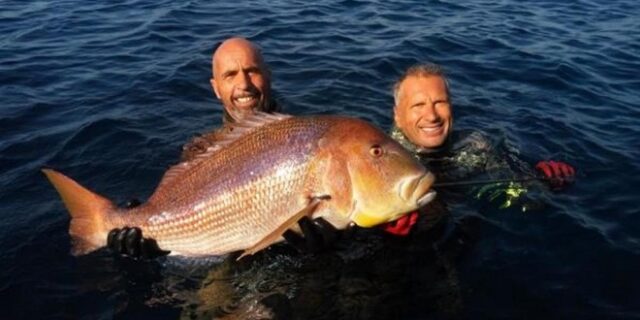 Χίος: Ψαροντουφεκάς έπιασε συναγρίδα 11 κιλών και κέρδισε μια θέση στα παγκόσμιο ρεκόρ