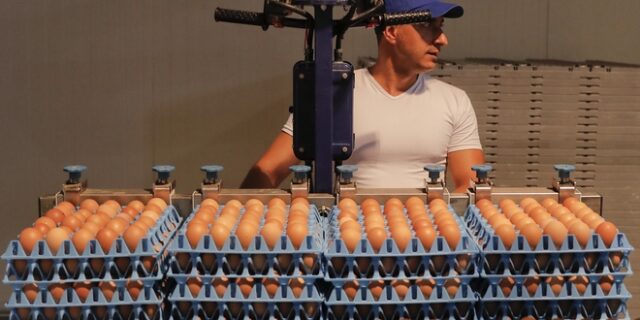 ΕΦΕΤ: ‘Καθαρά’ από fipronil τα αυγά στην Ελλάδα