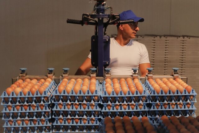 ΕΦΕΤ: ‘Καθαρά’ από fipronil τα αυγά στην Ελλάδα