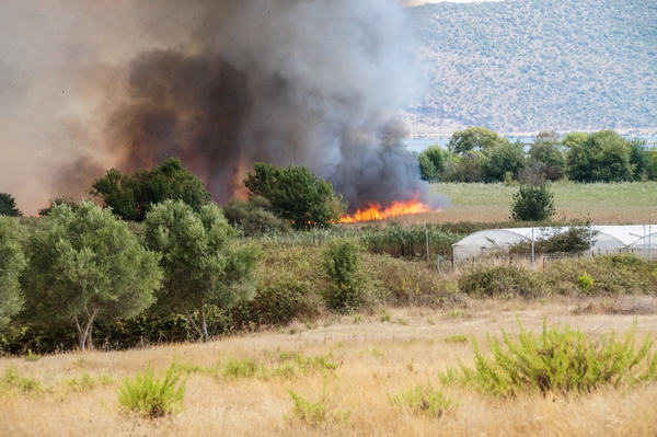 Πυρκαγιά στην Αχαΐα