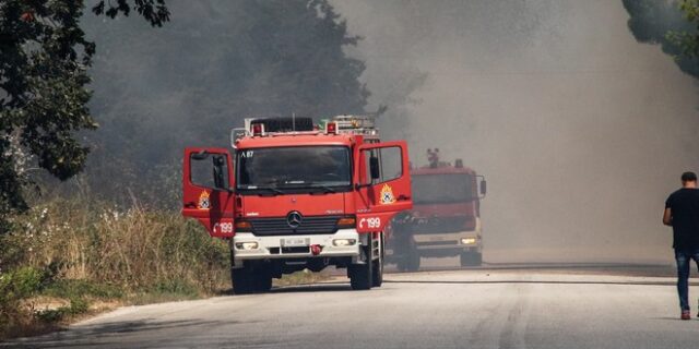 Μεγάλη φωτιά κατακαίει πευκοδάσος στην Αλεξανδρούπολη