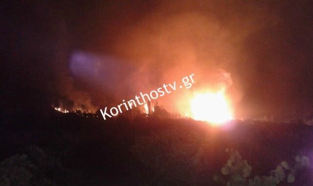 Φωτιά στη Νεμέα. Μεγάλη κινητοποίηση της Πυροσβεστικής
