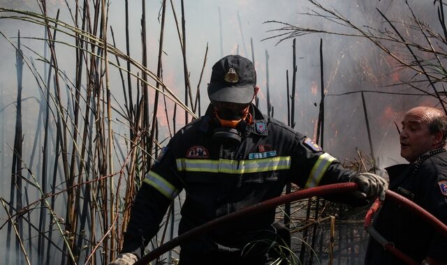Χαλκιδική: Μεγάλη πυρκαγιά στην Κασσάνδρα