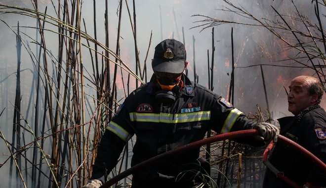 Χαλκιδική: Μεγάλη πυρκαγιά στην Κασσάνδρα