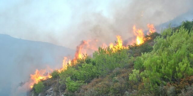 Κατάσβεση των πυρκαγιών σε Κιλελέρ και Φάρσαλα