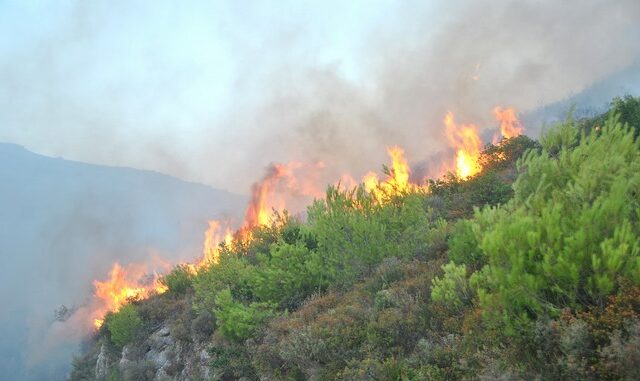 Κατάσβεση των πυρκαγιών σε Κιλελέρ και Φάρσαλα