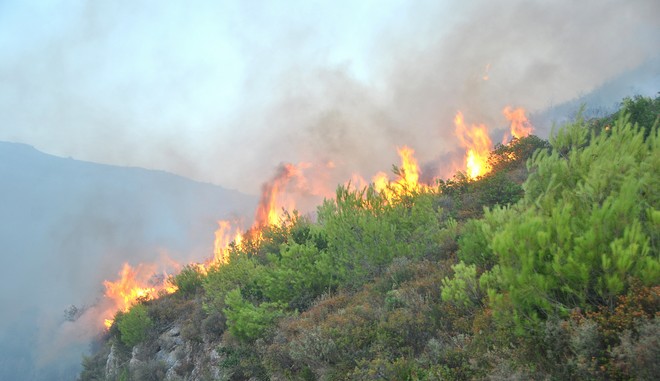 Μεσσηνία: Νέες φωτιές σε Κακαλέτρι και Μελιγάλα