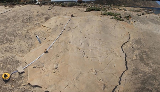 Εντοπίστηκε ο αρχαιοκάπηλος που ξήλωσε από την Κίσσαμο Χανίων τα πιο αρχαία ίχνη ανθρώπου στη Γη