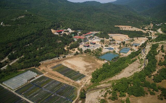 Δεν φεύγει από την Ελλάδα η Eldorado Gold