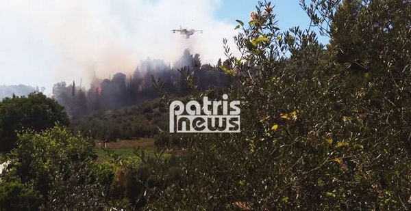 Νέες πυρκαγιές στην Αχαΐα. Καλύτερη η εικόνα στην Ηλεία