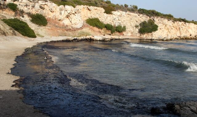 Πλακιωτάκης για Σαλαμίνα: Καθυστερημένα αντέδρασε το υπουργείο Ναυτιλίας